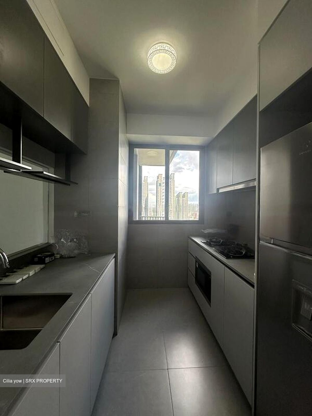 Parc Clematis (D5), Apartment #499069711